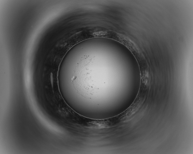 X0000093530763200710121559