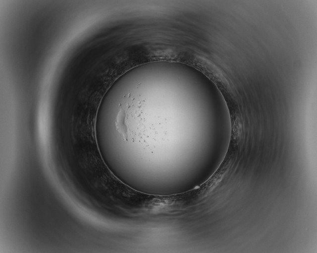 X0000093530764200710121559