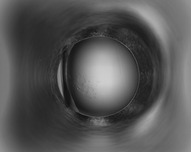 X0000093530767200710121559