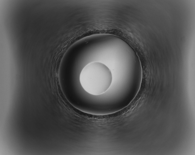 X0000093530769200710121558