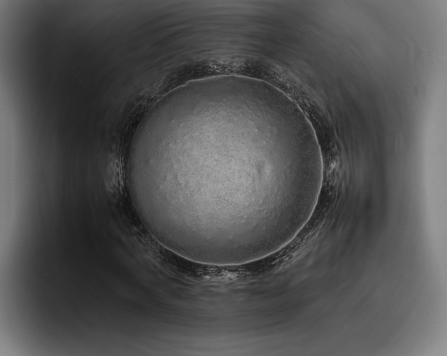 X0000093530772200710121558