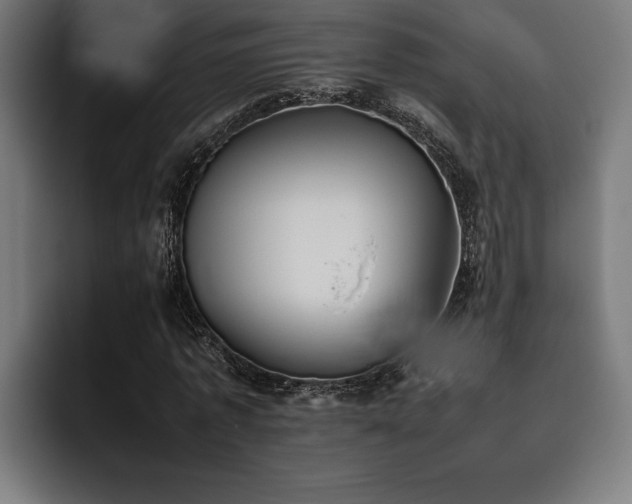 X0000093530773200710121558