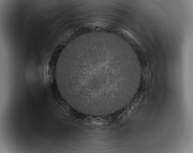 X0000093530774200710121558
