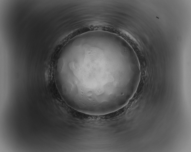 X0000093530775200710121558