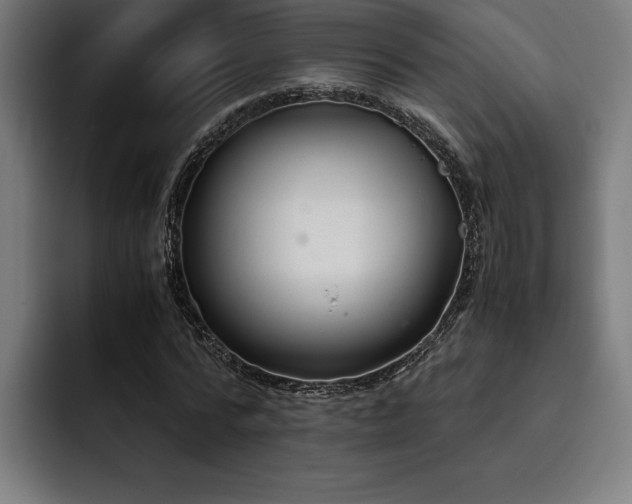 X0000093530776200710121558