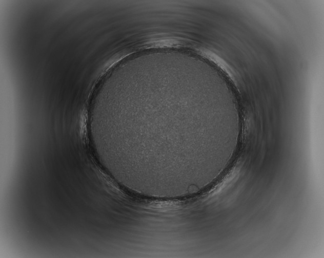 X0000093530778200710121558