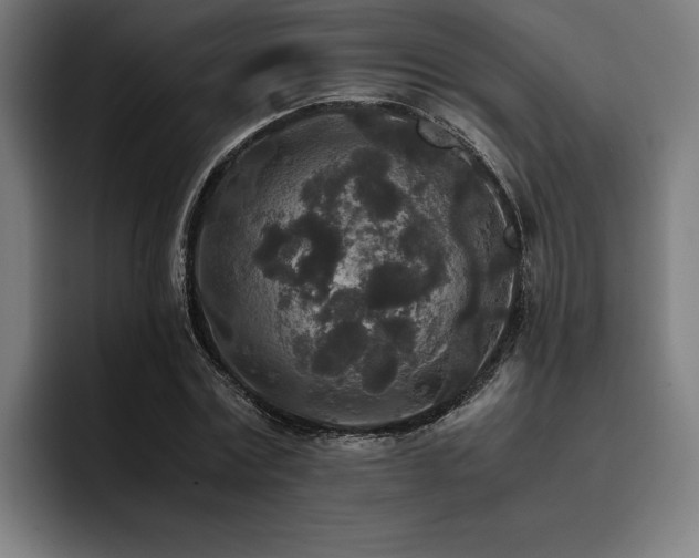 X0000093530779200710121558