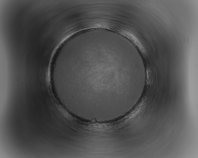 X0000093530780200710121558