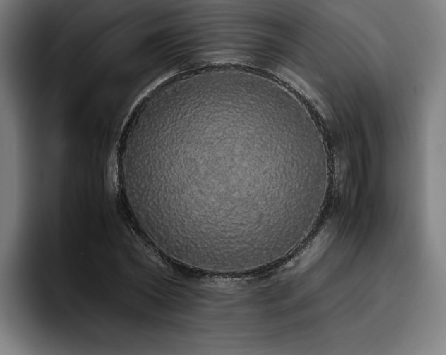 X0000093530782200710121558