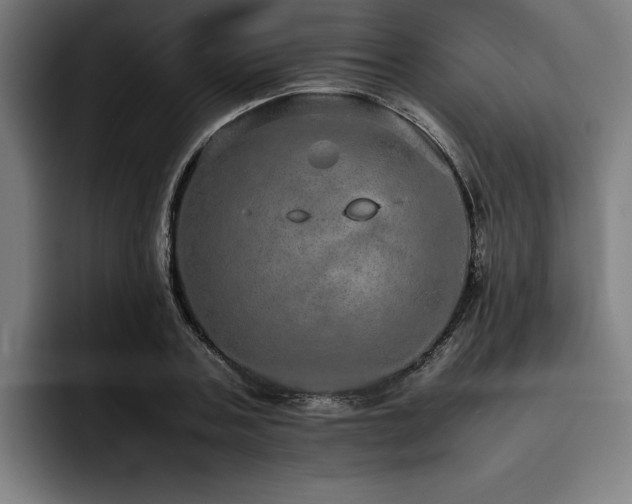 X0000093530787200710121558