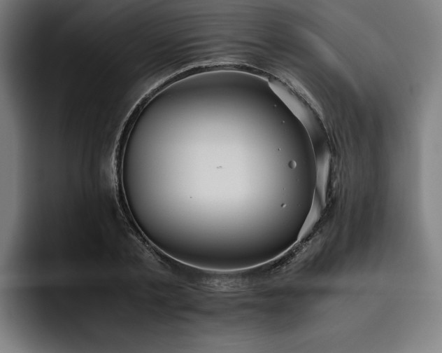 X0000093530789200710121558