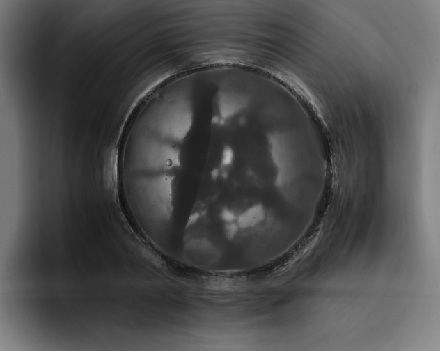X0000093530790200710121558