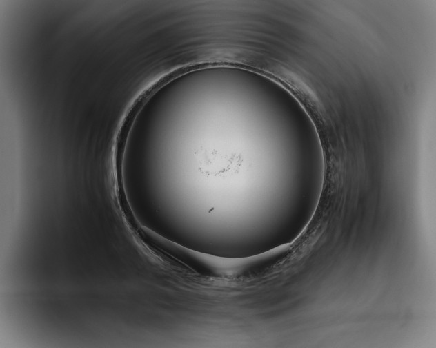 X0000093530792200710121558