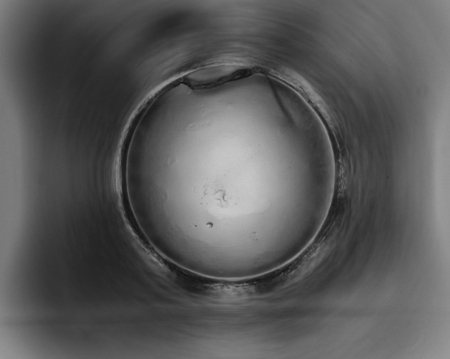 X0000093530795200710121558