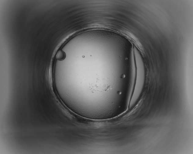 X0000093530796200710121558
