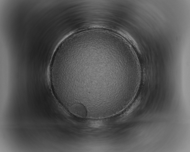 X0000093530798200710121558