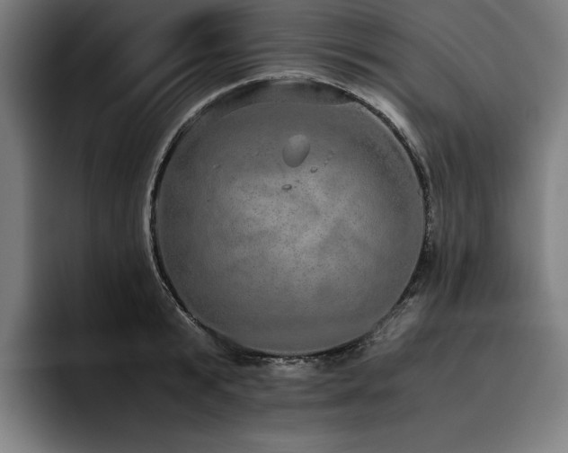 X0000093530799200710121558