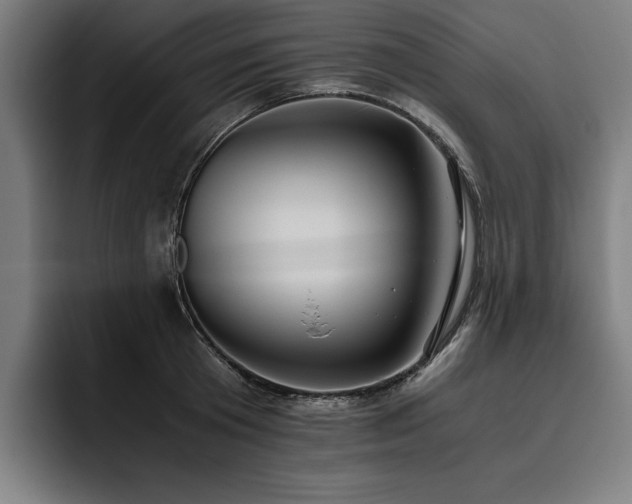 X0000093530801200710121558