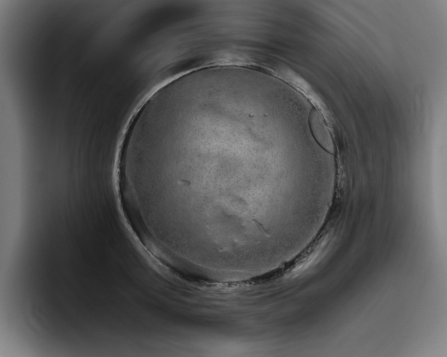 X0000093530803200710121558