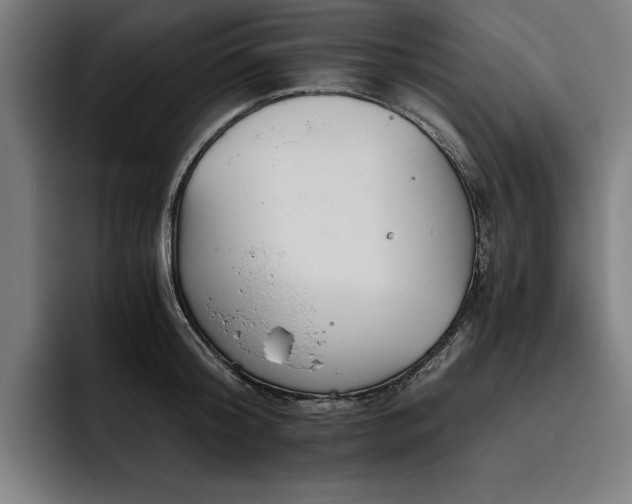 X0000093530804200710121558
