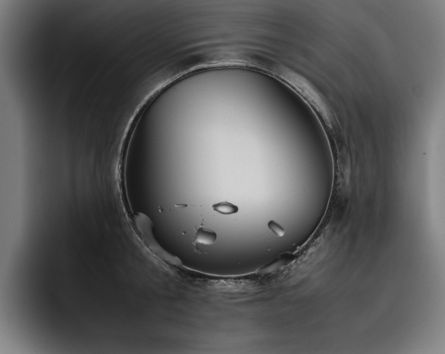 X0000093530805200710121558
