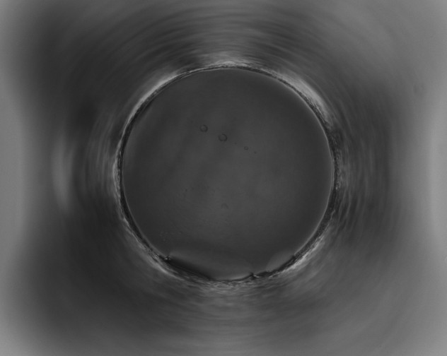X0000093530806200710121558