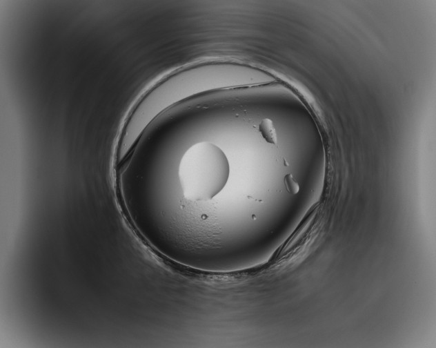 X0000093530807200710121558