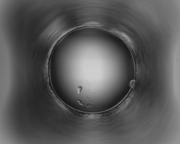 X0000093530808200710121558