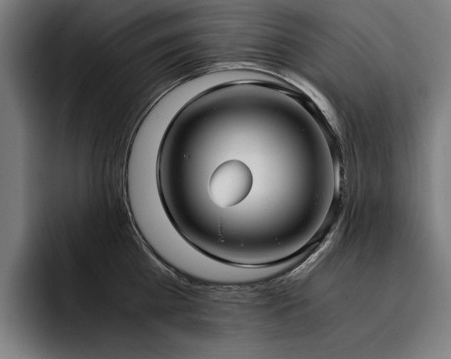 X0000093530809200710121558