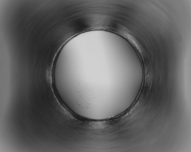 X0000093530810200710121558