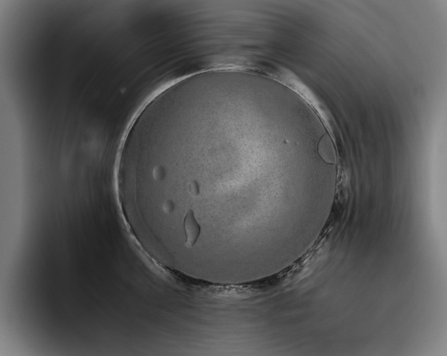 X0000093530811200710121558