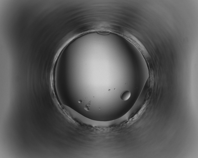 X0000093530812200710121558