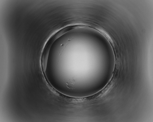X0000093530813200710121558