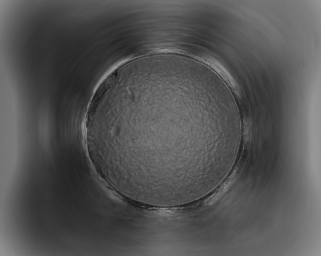 X0000093530814200710121558