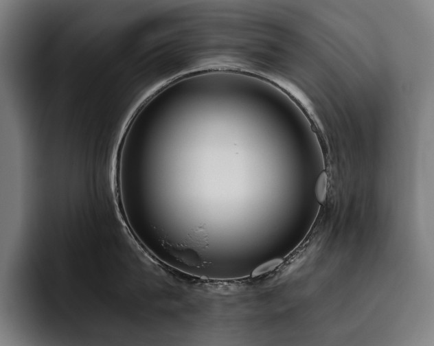 X0000093530815200710121558