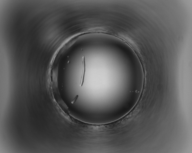 X0000093530816200710121558