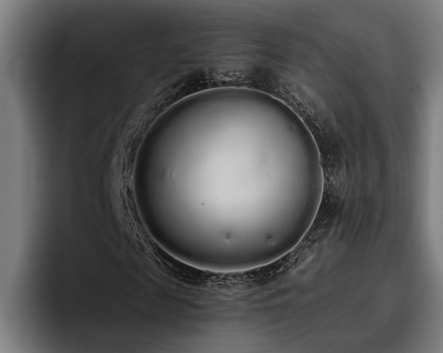 X0000093530817200710121557