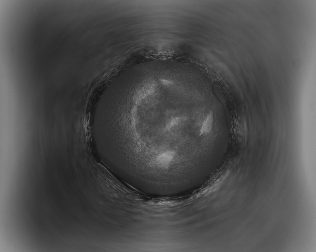 X0000093530818200710121557