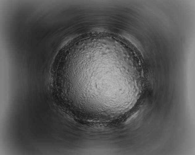 X0000093530823200710121557