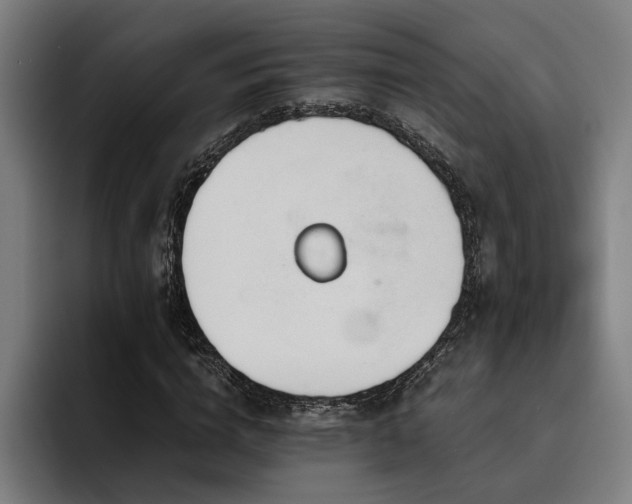 X0000093530824200710121557