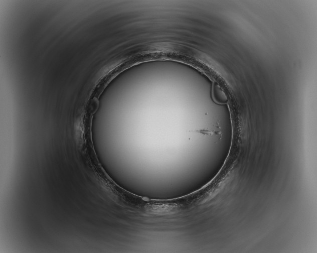 X0000093530826200710121557