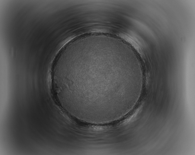 X0000093530829200710121557