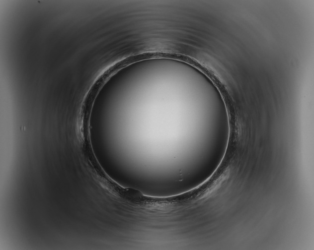 X0000093530830200710121557