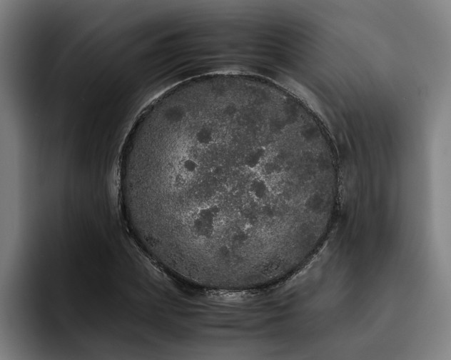X0000093530831200710121557
