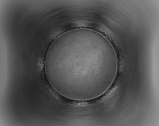 X0000093530833200710121558