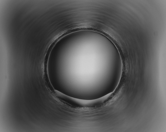 X0000093530834200710121558