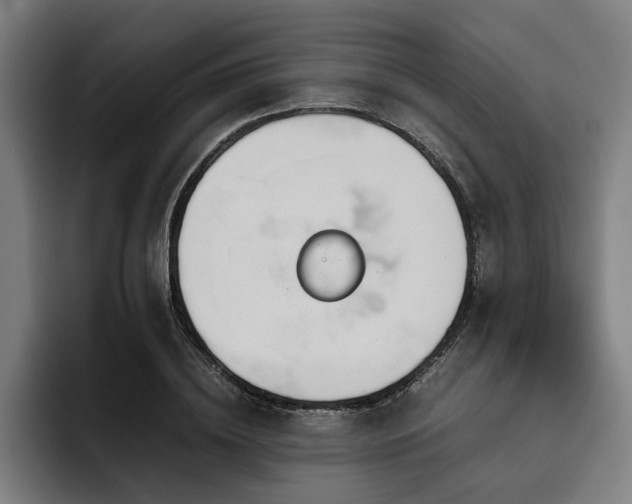 X0000093530836200710121558