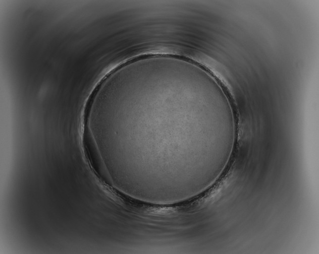 X0000093530837200710121558