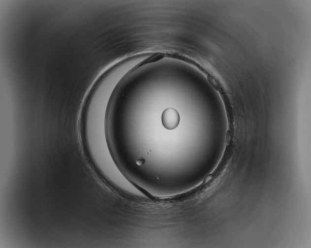 X0000093530838200710121558