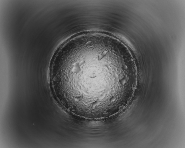 X0000093530839200710121558